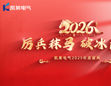 厉兵秣马 破冰前行——东升国际电气2025年度盛典焕启新程！
